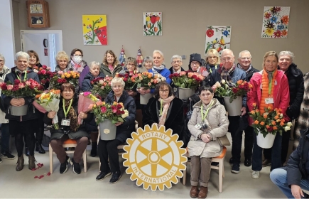 Des roses aux résidents des capucins